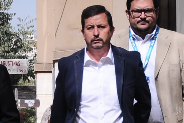 alcalde Maipú licencia