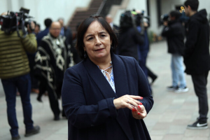 Aravena presiones políticas