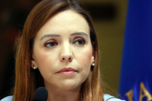 Flores sistema político