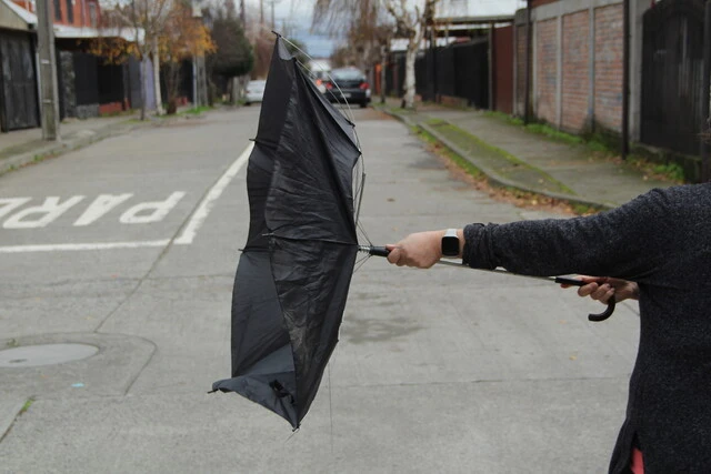 viento blanco