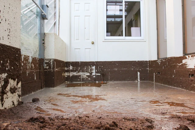 Unesco Bahía Blanca