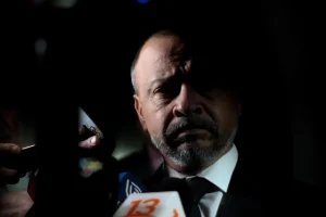 palma formalización