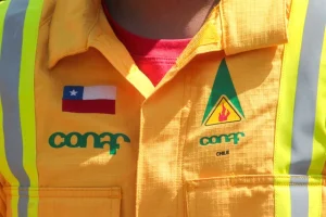 Conaf campaña