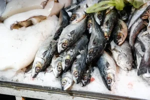 Fraccionamiento pesquero