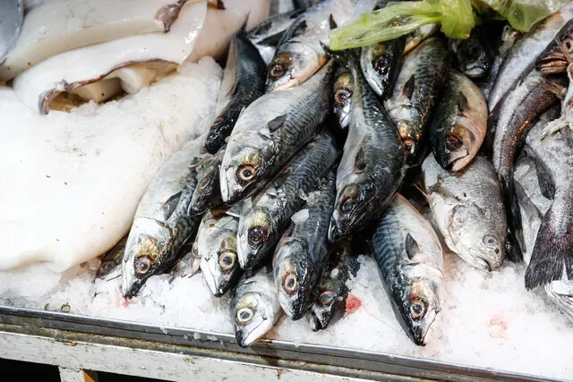 Fraccionamiento pesquero