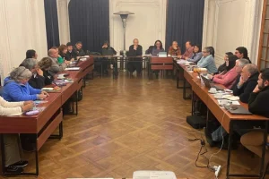 colegio de profesores