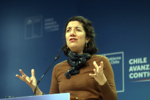 Etcheverry reforma previsional