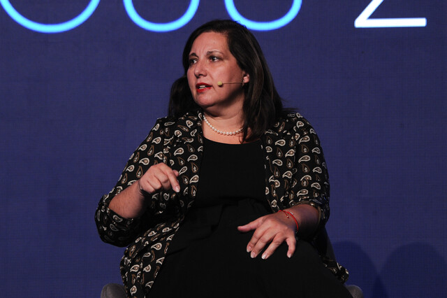 Vodanovic delincuencia