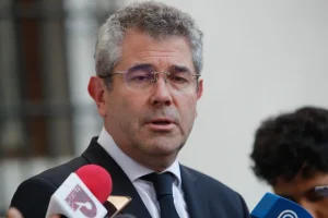 Amarillos parlamentarias
