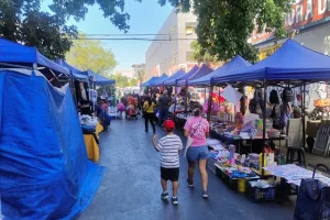 Meiggs toldos azules