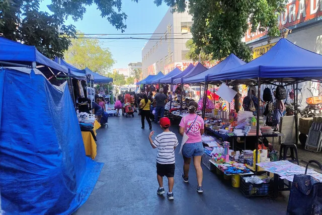 Meiggs toldos azules