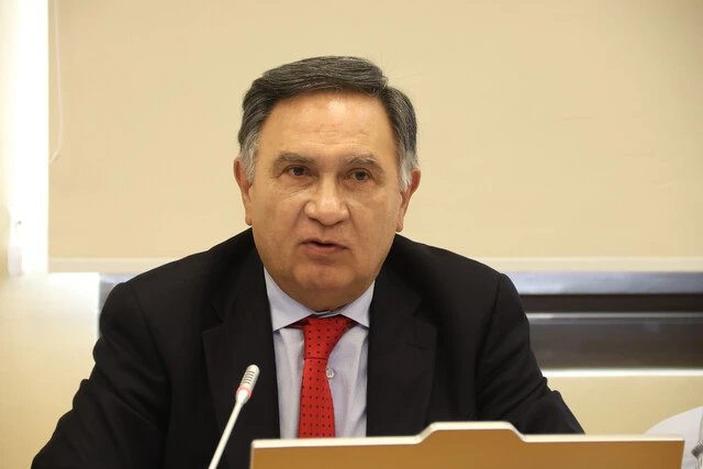 renuncia director SII