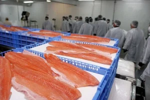 exportaciones alimentos