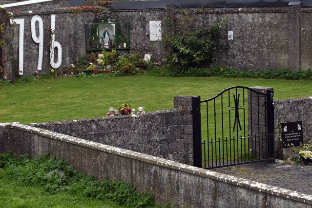 guaguas Irlanda