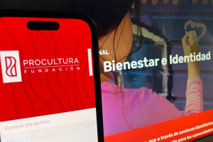 ProCultura disolución