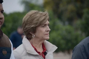 Matthei reforma pensiones