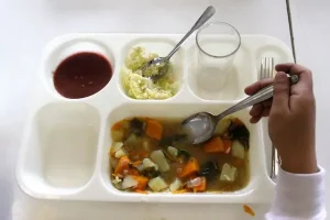 manipuladoras alimentos