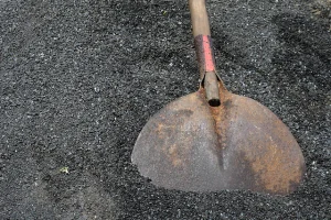 cápsula Diana de Gales