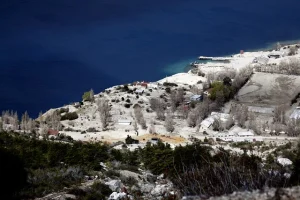 depredadores Patagonia