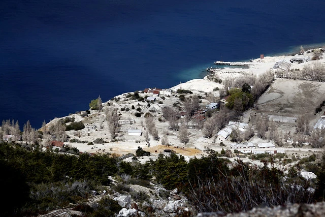 depredadores Patagonia