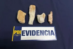 PDI sujeto