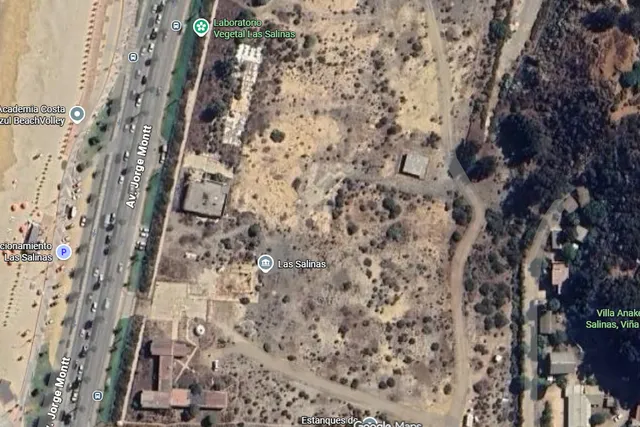 Las Salinas