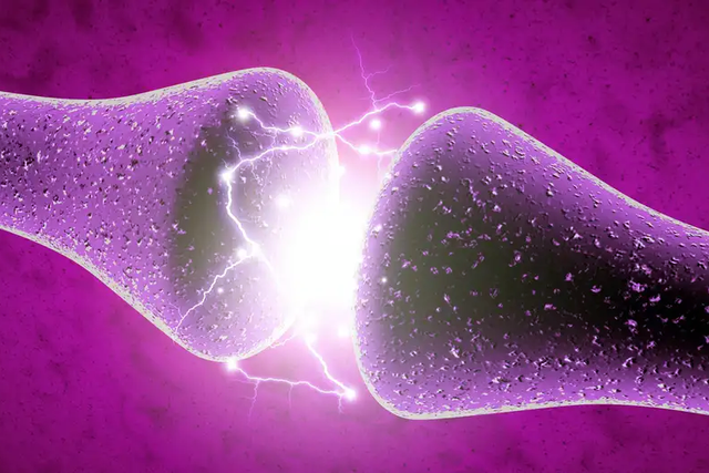 neuronas artificiales