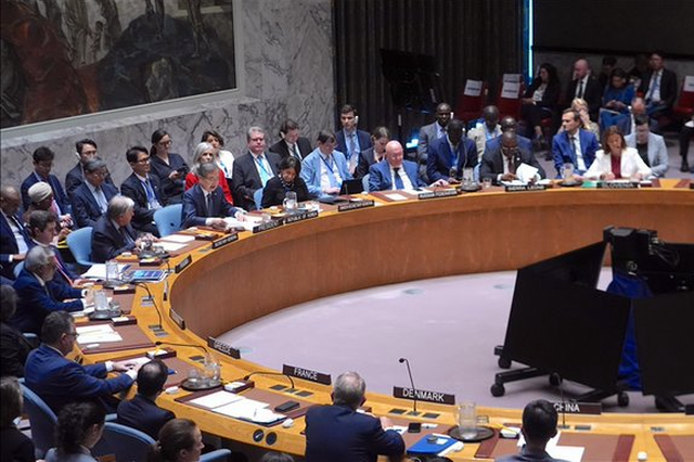 Consejo Seguridad Gaza