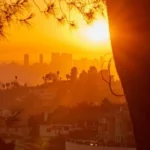 Verano de 2026 deja más de 50 mil muertes por calor en Europa