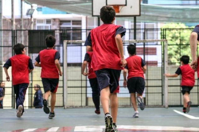 ley actividad física