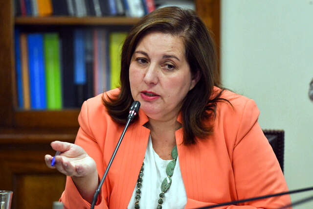 Vodanovic plebiscito gobierno