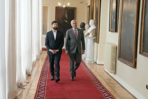 Boric Kast incendios