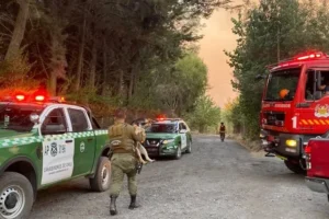 incendios Ñuble