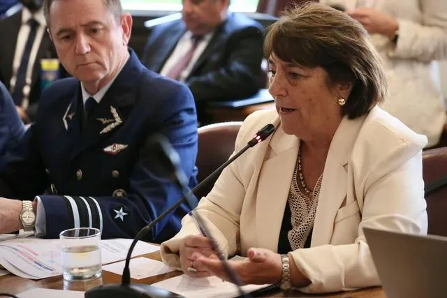 Delpiano macrozona sur