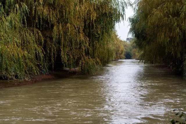 Mapocho humedal urbano