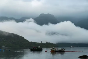 pescadores Reloncaví