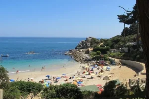 recomendaciones Minsal