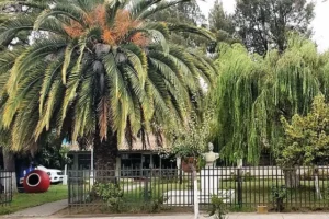 Municipalidad de Trehuaco