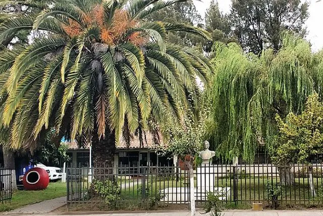 Municipalidad de Trehuaco