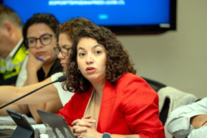 Toro reconstrucción