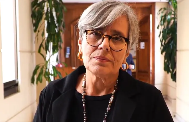 Diputada Lorena Fries acusa retrocesos sociales en plan del gobierno