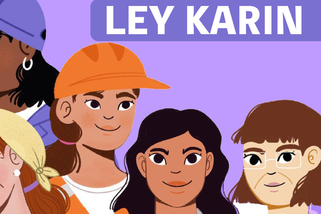 reglamento ley karin