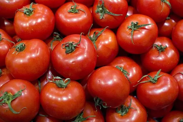 precio tomates