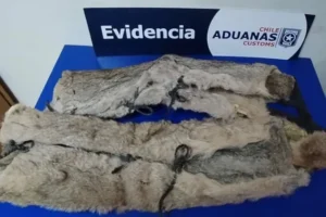 Aduanas