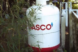 subsidio gas