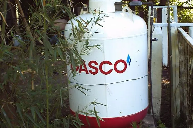 Subsidio al gas: ¿Cuándo se podrá hacer uso del beneficio?