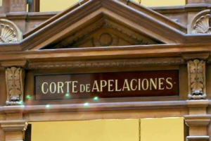 asesor Lavín