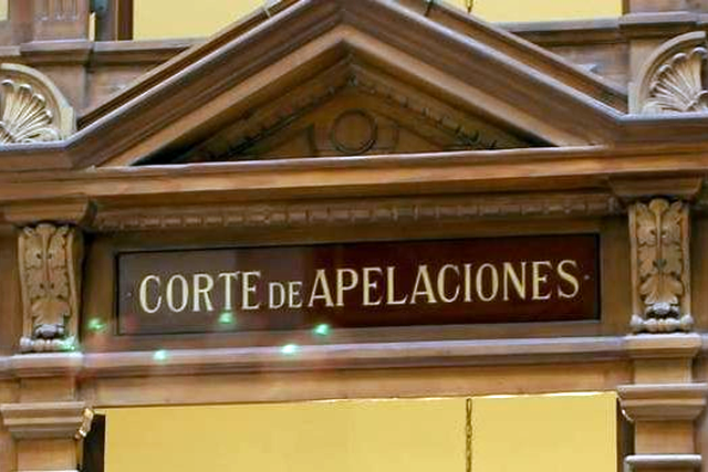 asesor Lavín