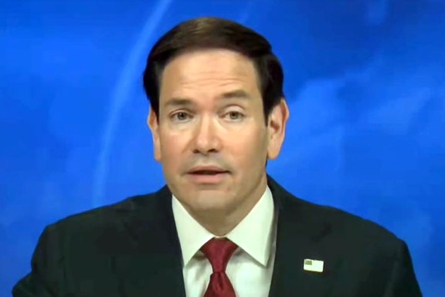 Rubio cubanos