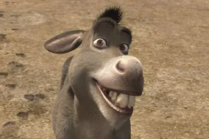 burro Sherk